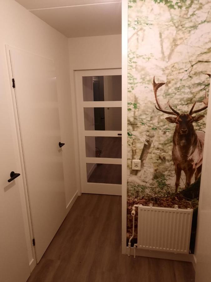 Heerlijke vakantiewoning Ewijk Villa Buitenkant foto