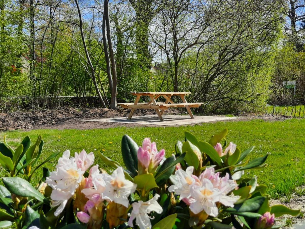Heerlijke vakantiewoning Ewijk Villa Buitenkant foto